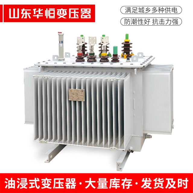 S13-10000/35芝罘芝罘芝罘电力变压器